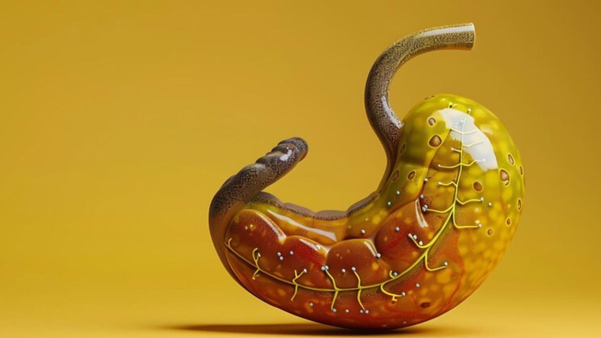 these are the 8 key warning signs of stomach cancer to look out for