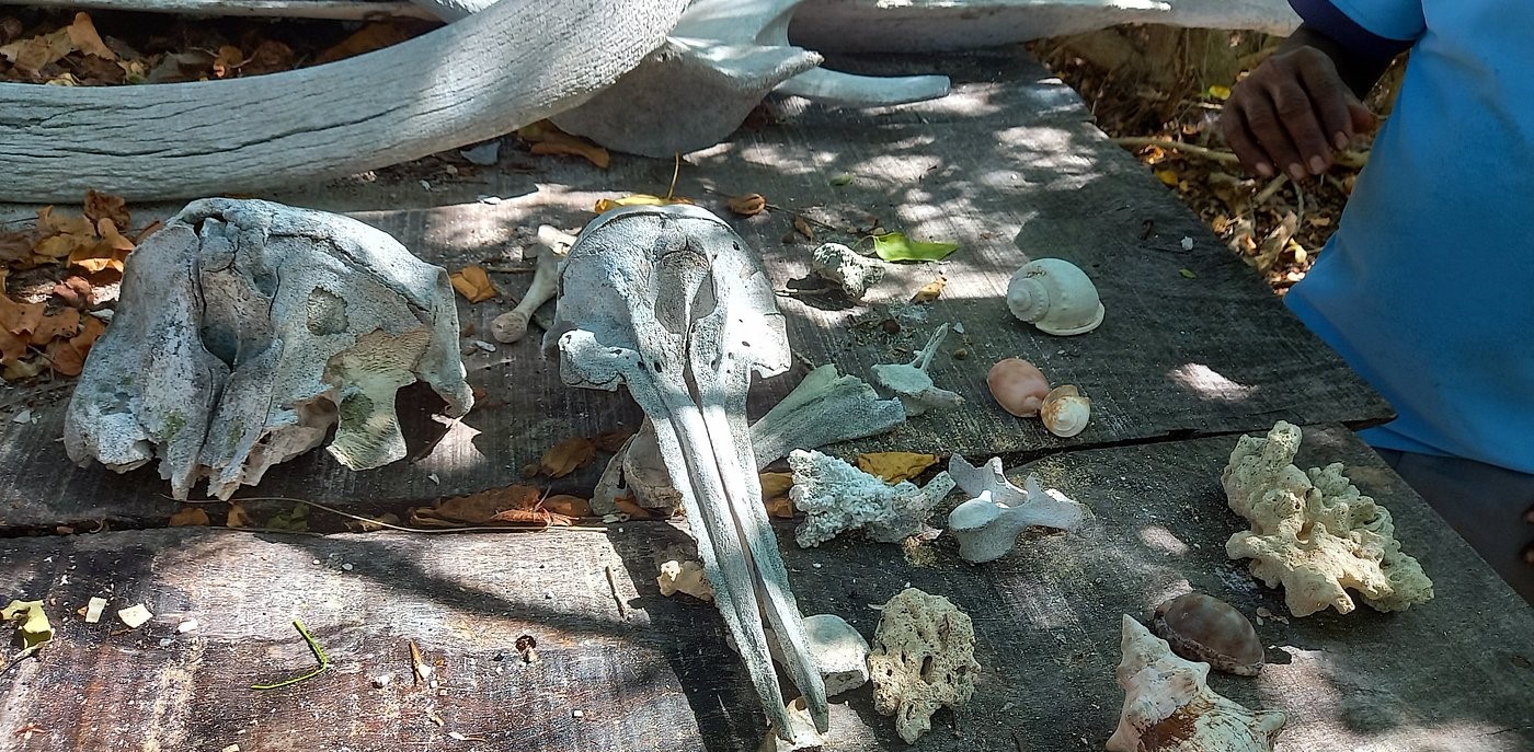 rameshwaram tourism kurusadai island