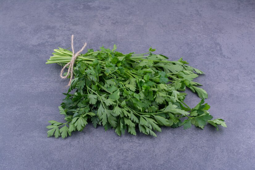 Coriander leaf