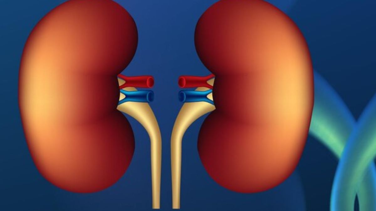 kidney issues 1