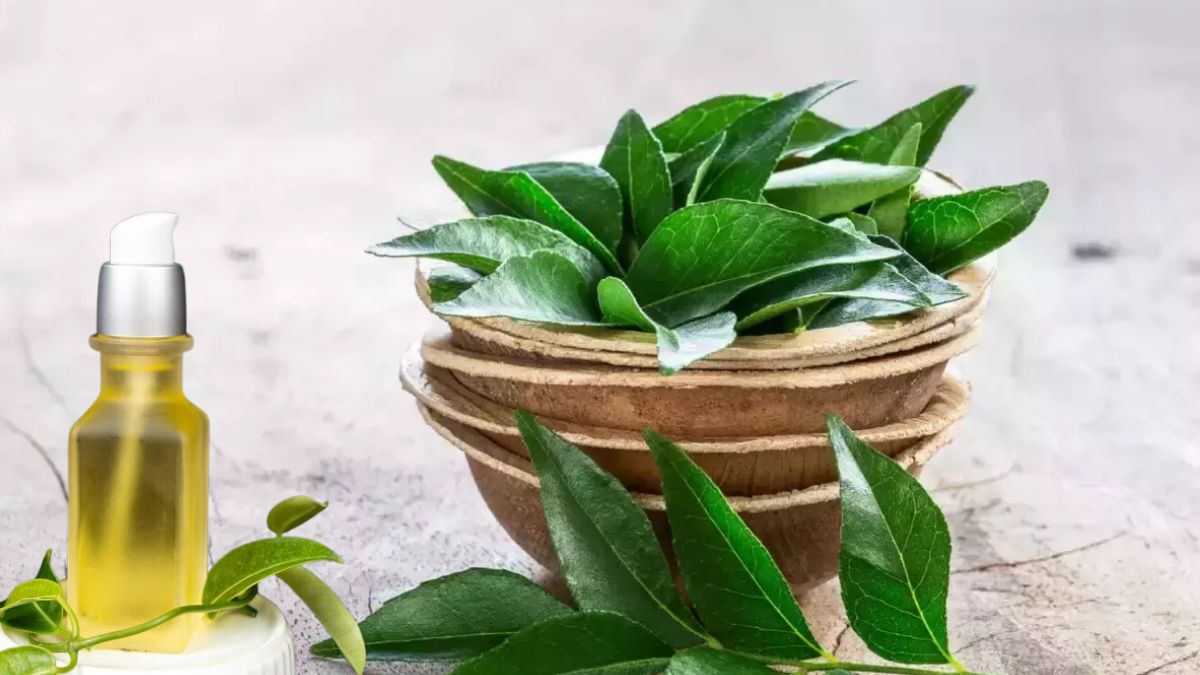 how-to-make-curry-leaves-oil-at-home-and-its-benefits-Main (1)
