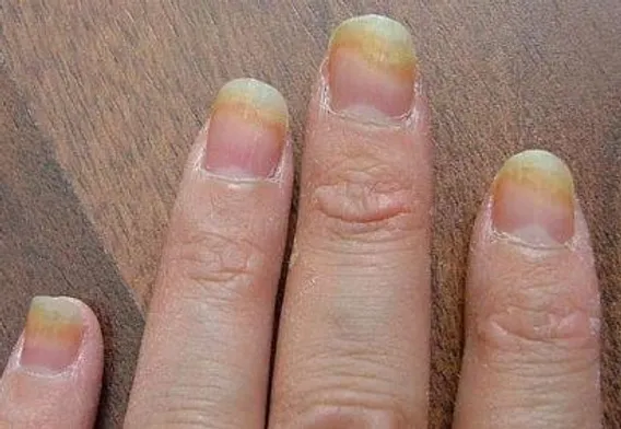 0c4a13_8b7dd5e8258f4ee49b1ff9e6665c9639~mv2