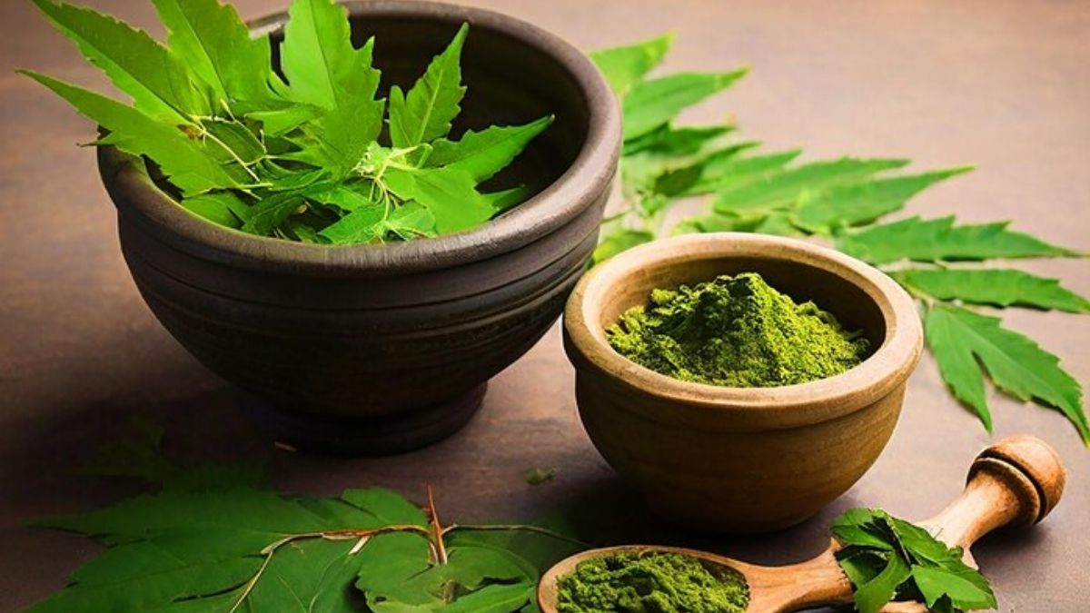 neem-leaves-1731593496073 (1)