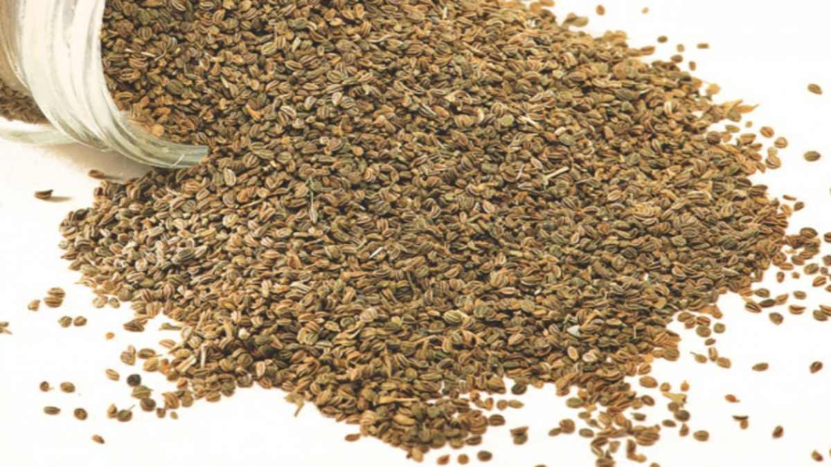 ajwain