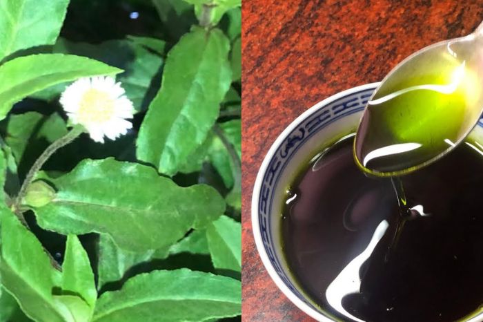 bhringraj-oil-benefits-for-women-hair-5