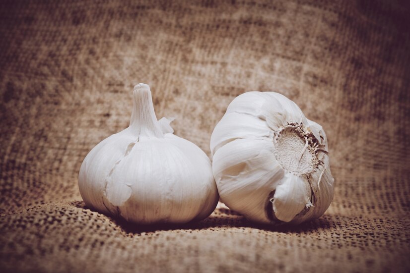 garlic