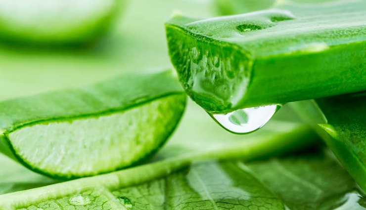 4-aloevera-1689133550-lb