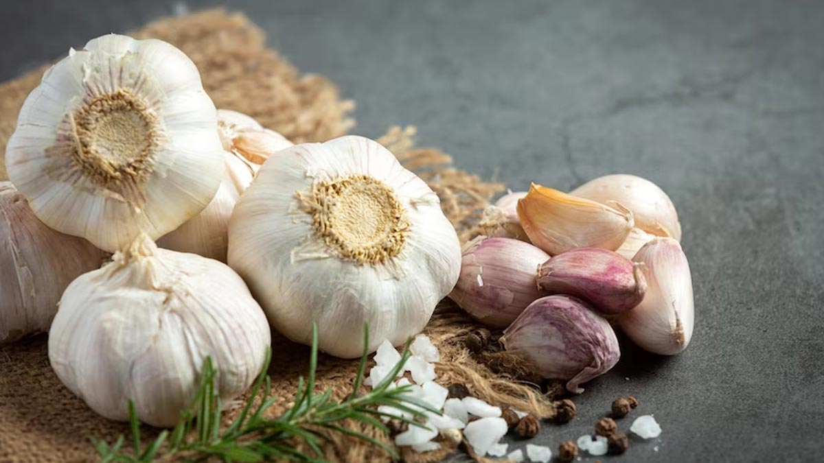 health-benefits-of-eating-garlic-on-empty-stomach-in-tamil-Main