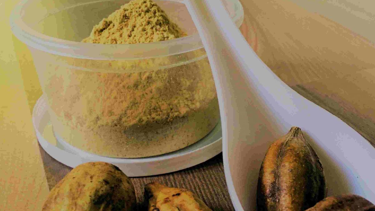 Untitled design - 2025-03-13T183658.654