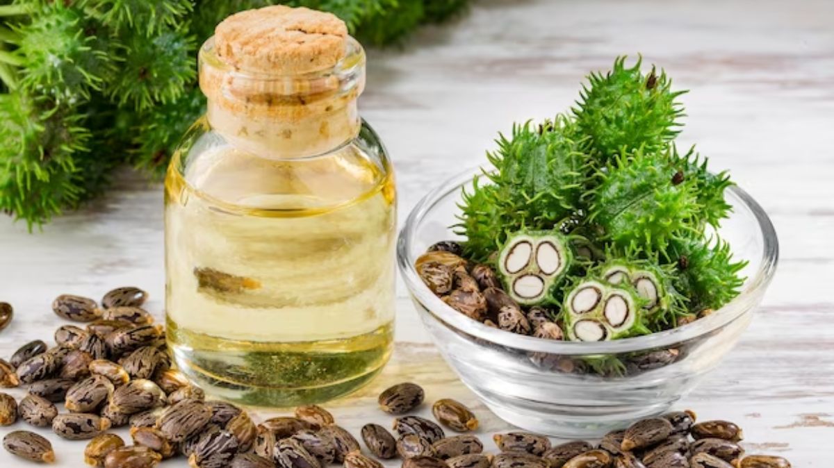 amanakku-oil-health-benefits-in-tamil-main