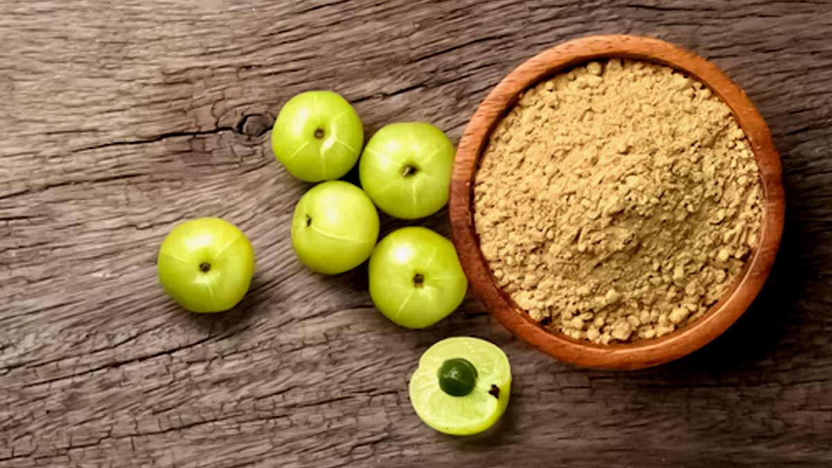 amla-powder-benefits-1 (1)