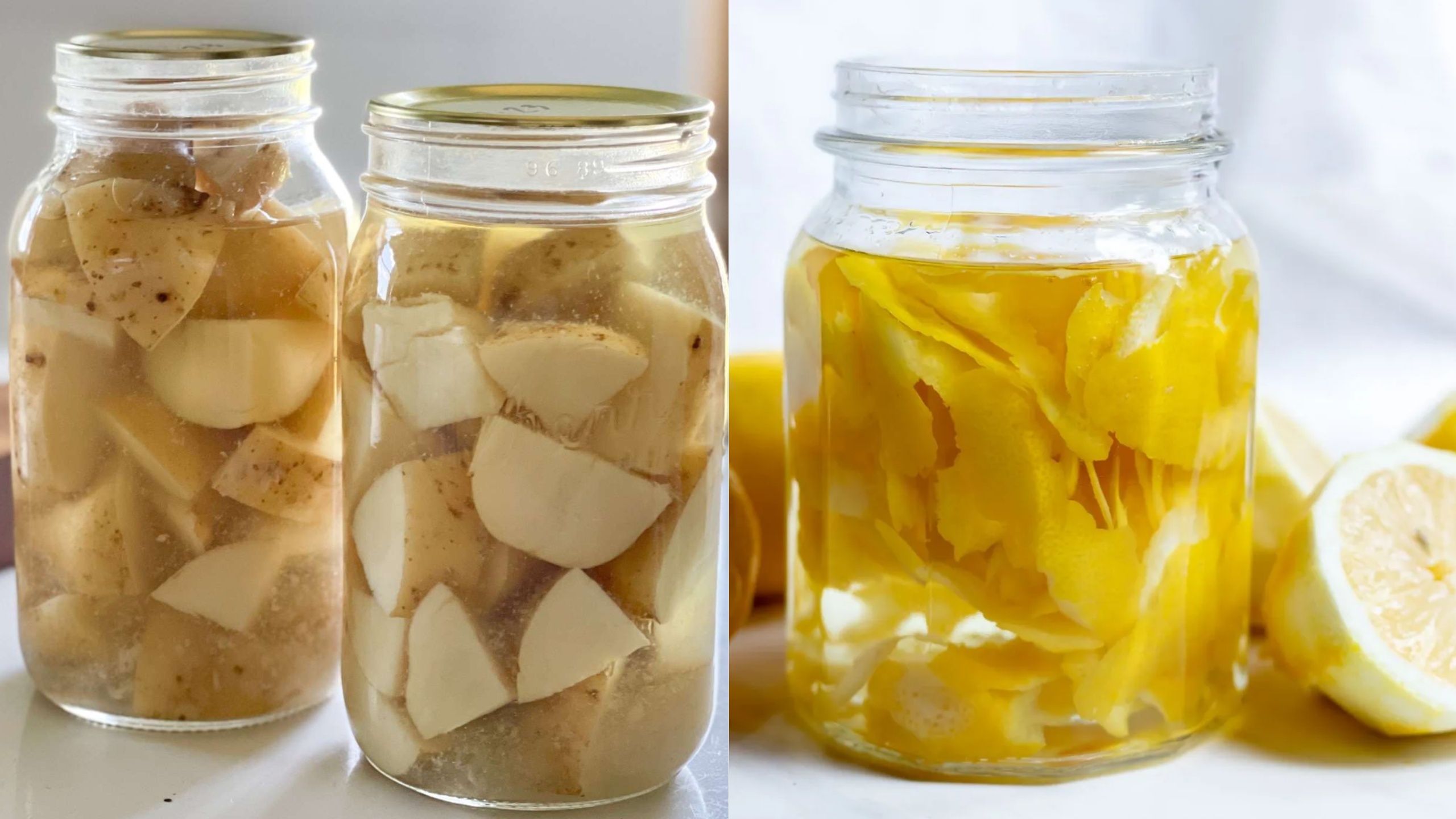 potato and lemon peel fertilizer