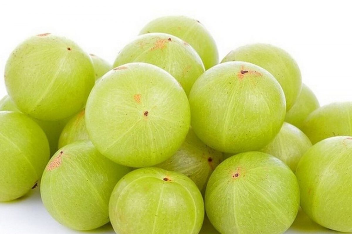 amla-benefits-2024-01-771d7340e4836c347a3abd0157cfa59d-3x2