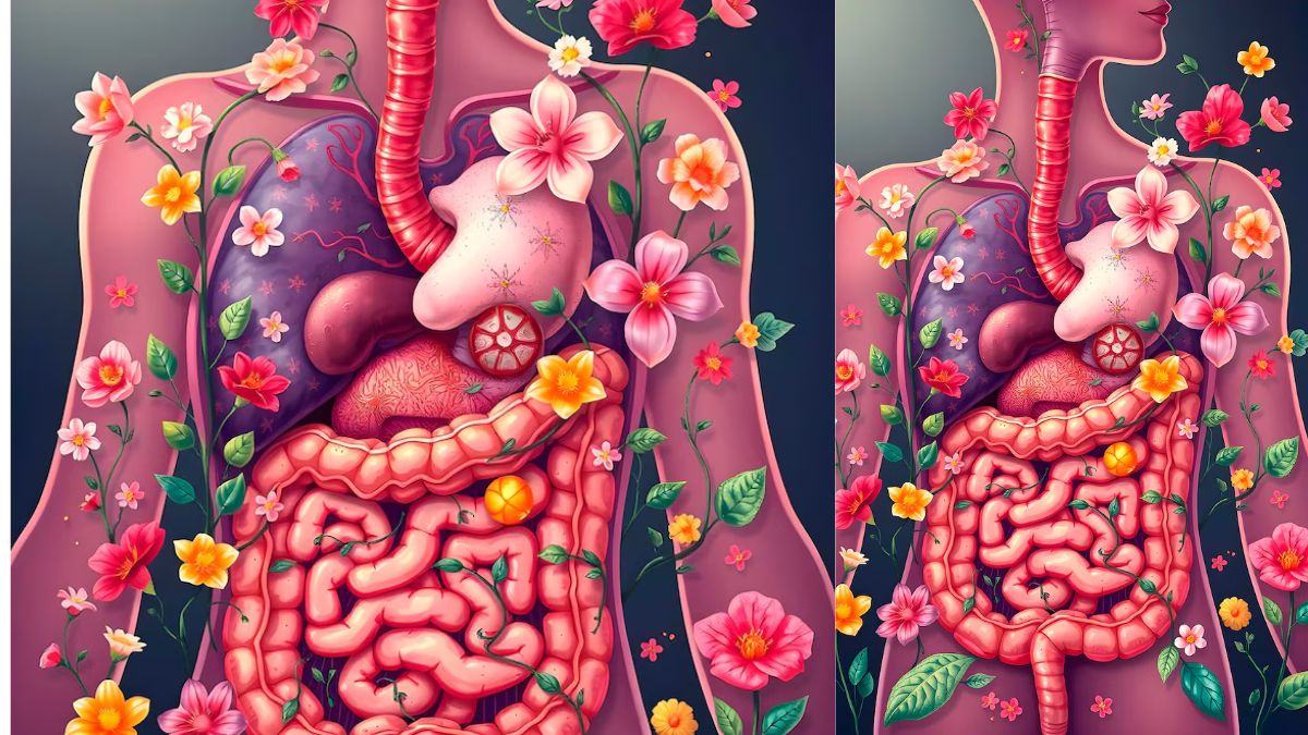 Cleanse Iner Organs Internal Organ Cleansing: உடலில் உள்ள உள் உறுப்புகளை சுத்தம் செய்வது ...