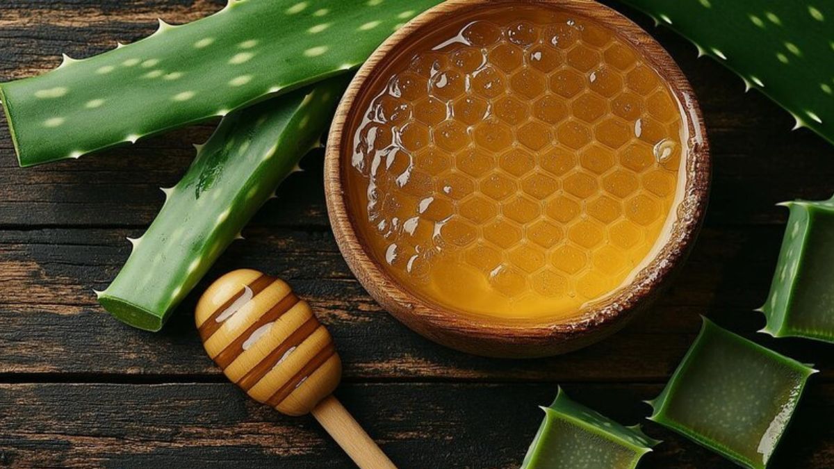 how-to-make-aloe-vera---honey-night-cream-for-glowing-face-1740162391350