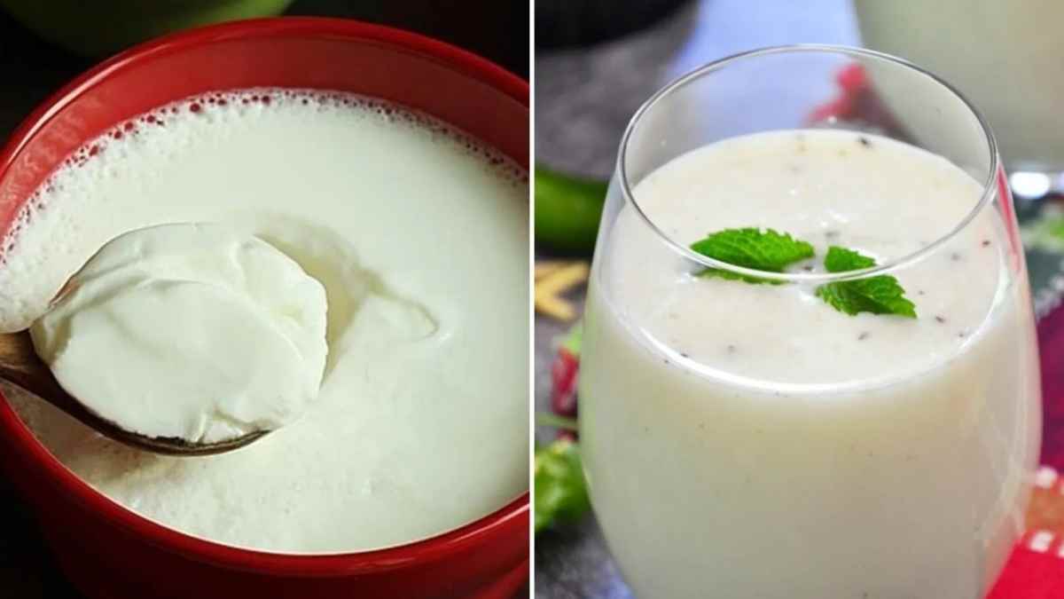 curd-vs-buttermilk-tile-1682228937 (1)