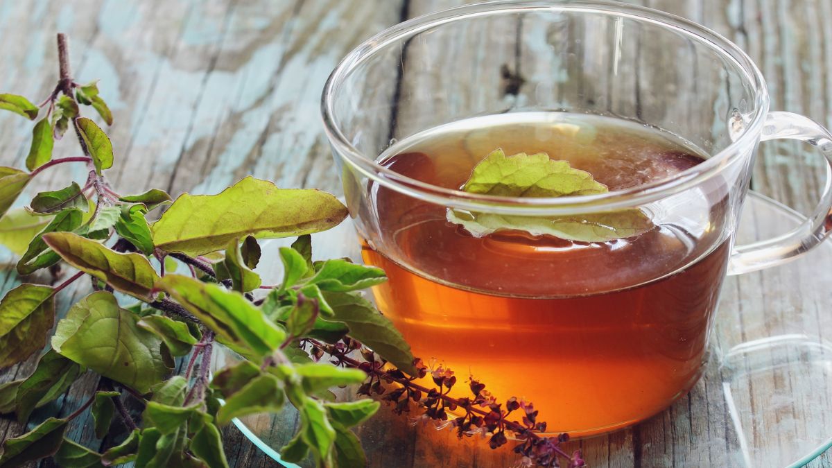 health-benefits-of-drinking-tulsi-tea-in-winter-in-tamil-Main