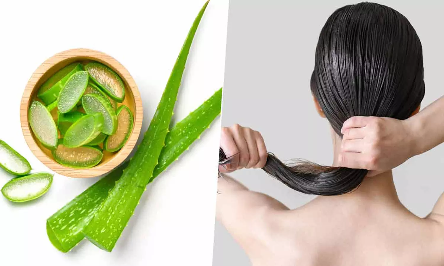 1860256-aloe-vera-gel-for-hair