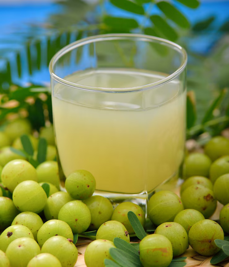 health benefits amla juice