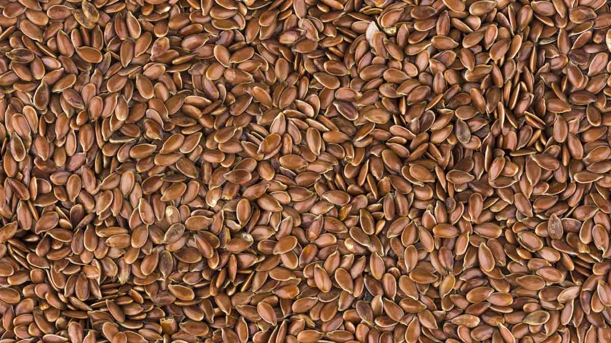 flax-seeds_uses