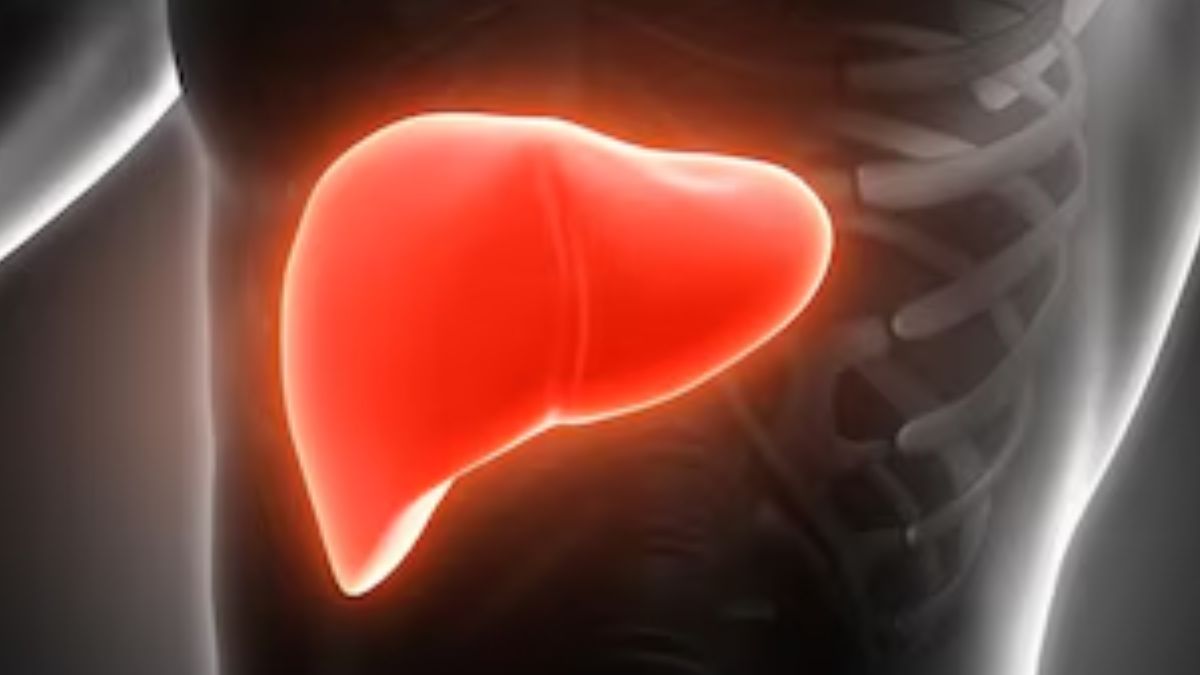 liver--1735235496835