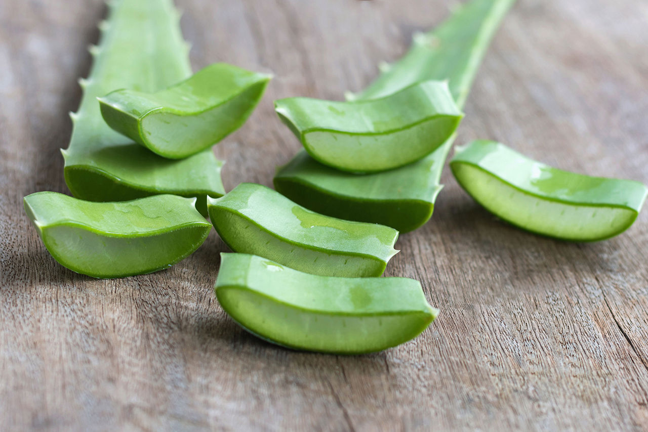 li-aloe-vera-slices