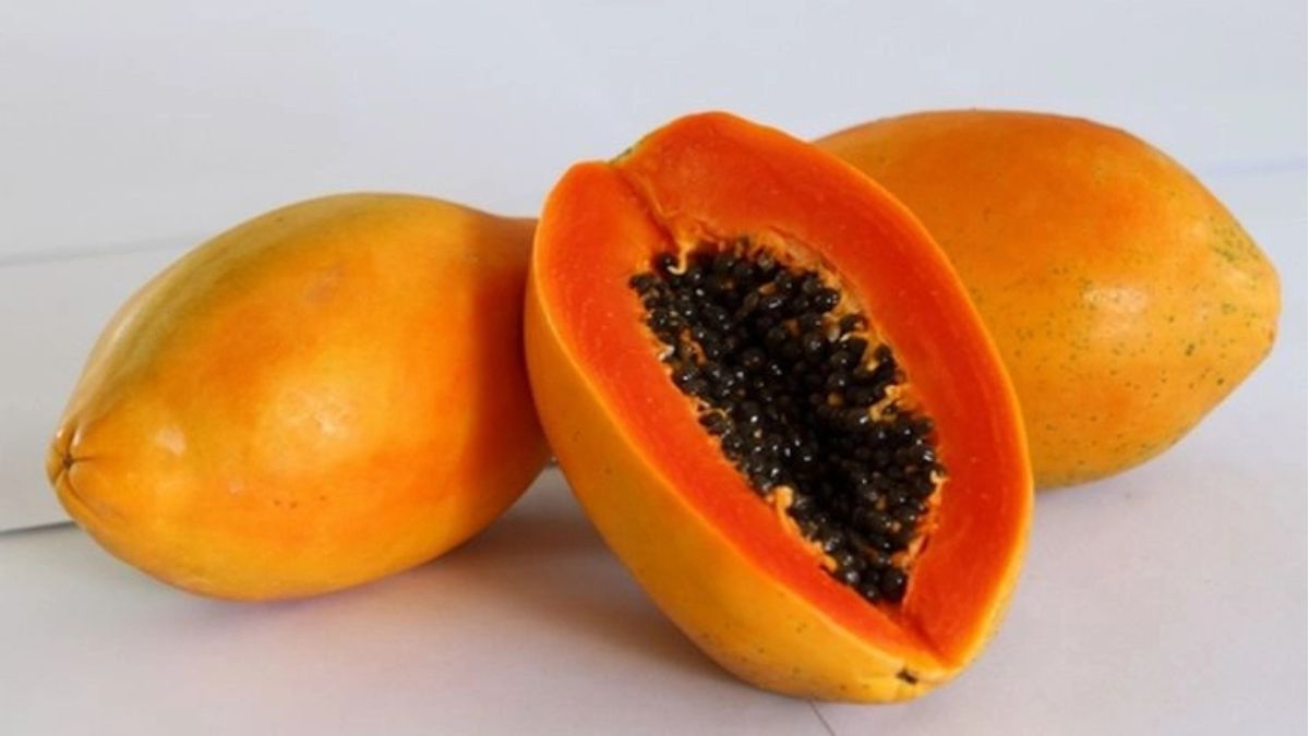 Untitled-design---2024-10-26T001750.806-1729882081455 (1)