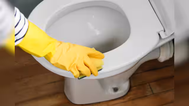 420682-bathroomcleaning1