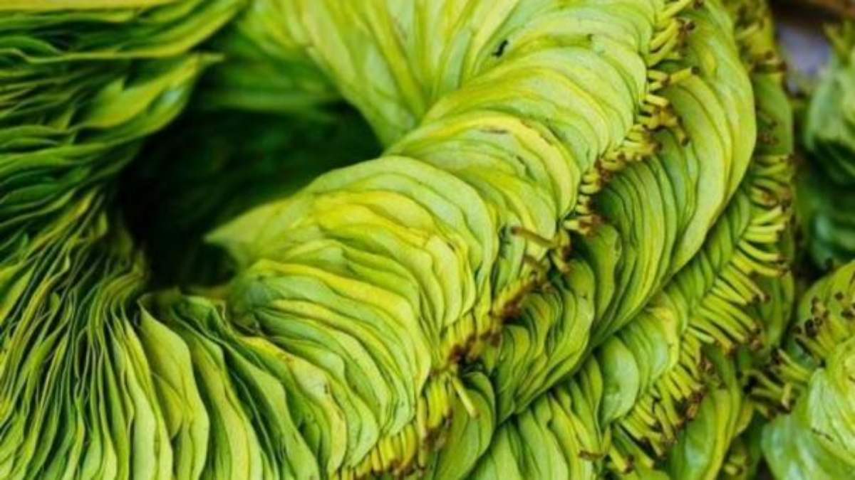 betel-leaf-recipes