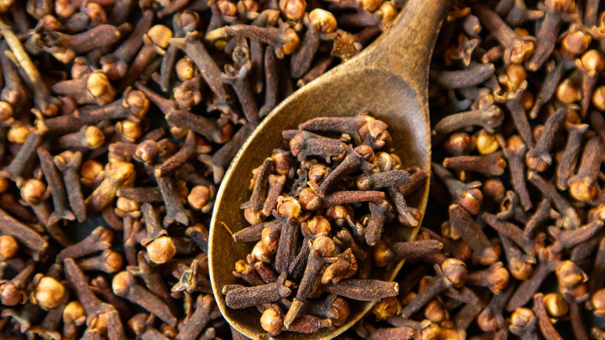 Untitled design - 2025-05-27T234614.402