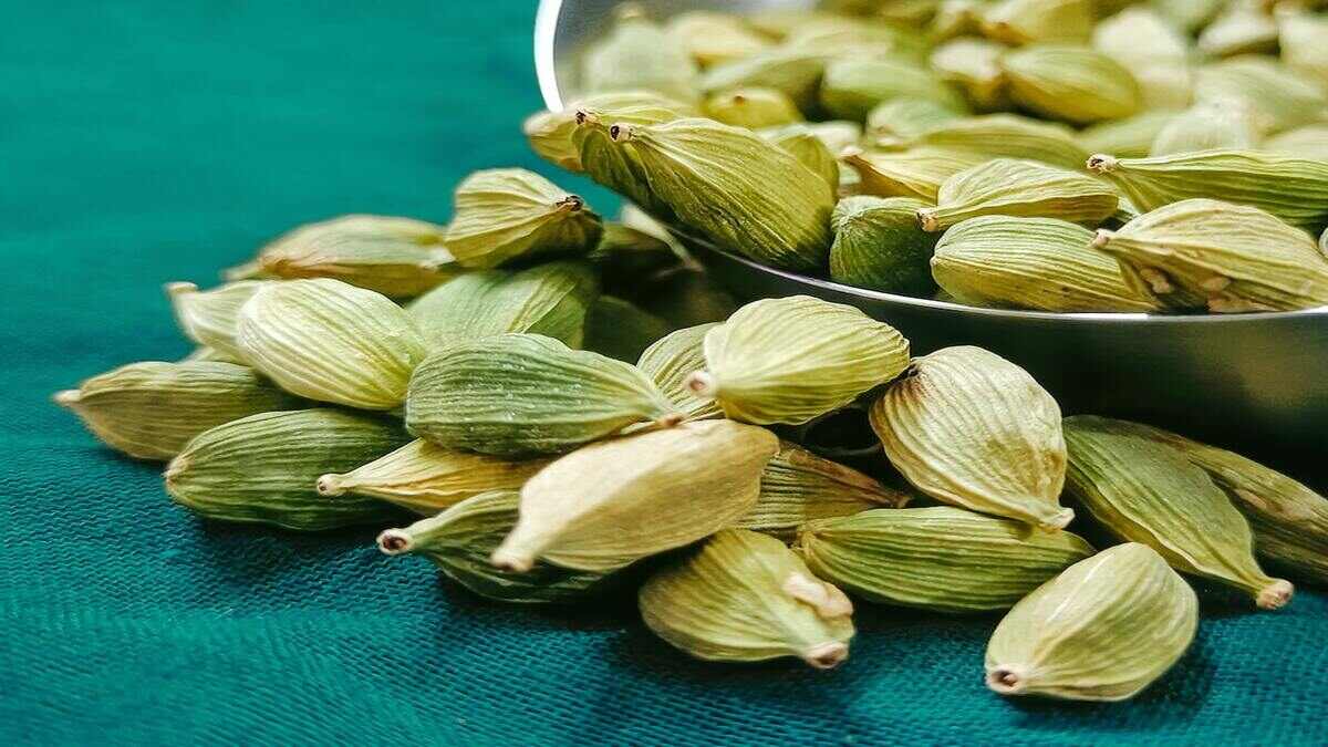cardamom-benefits (1)