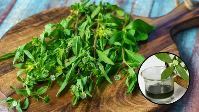 navbharat-times-118442315