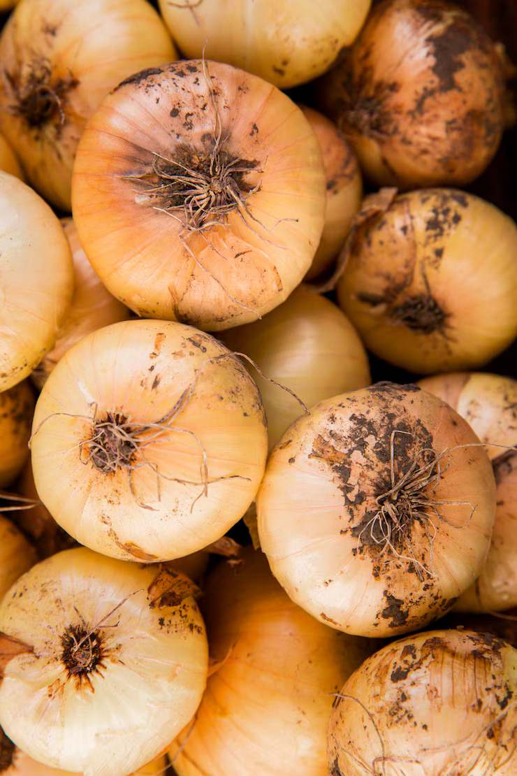 prevent onion rot