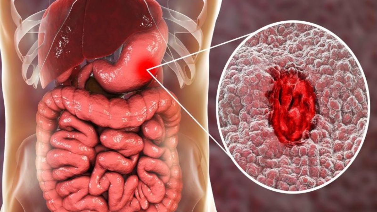 Untitled design - 2025-06-23T231207.374