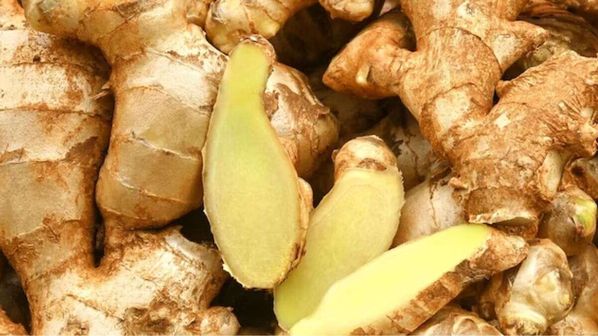 benefits-of-ginger-1751549508601