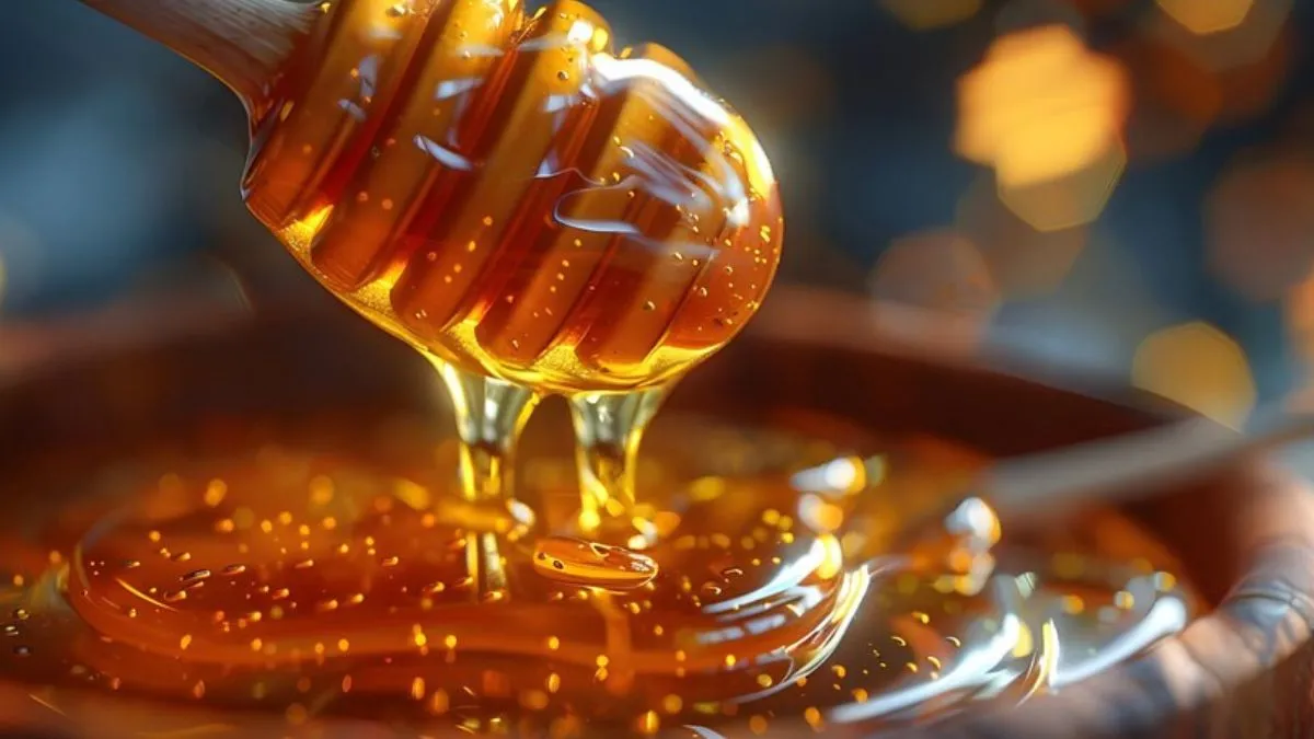 Benefits-of-eating-turmeric-with-honey-in-winter-1731940779453-(2)-1751294287415