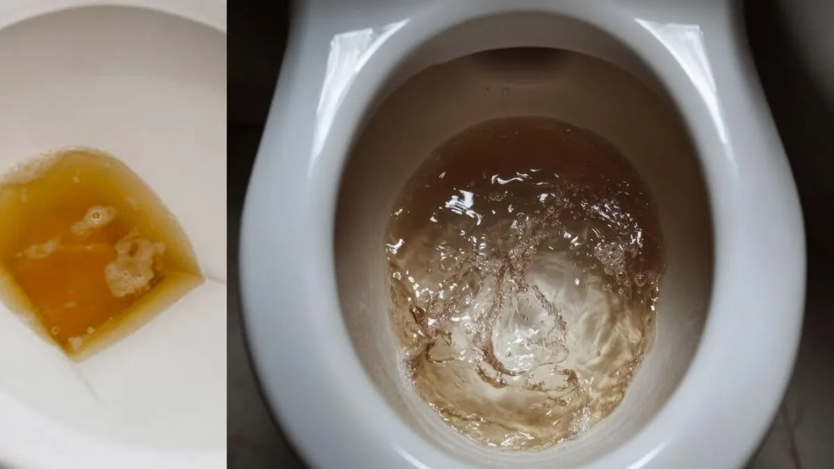 follow-this-home-remedy-to-eliminate-the-foul-smell-in-urine-overnight-1738727381795 (1)