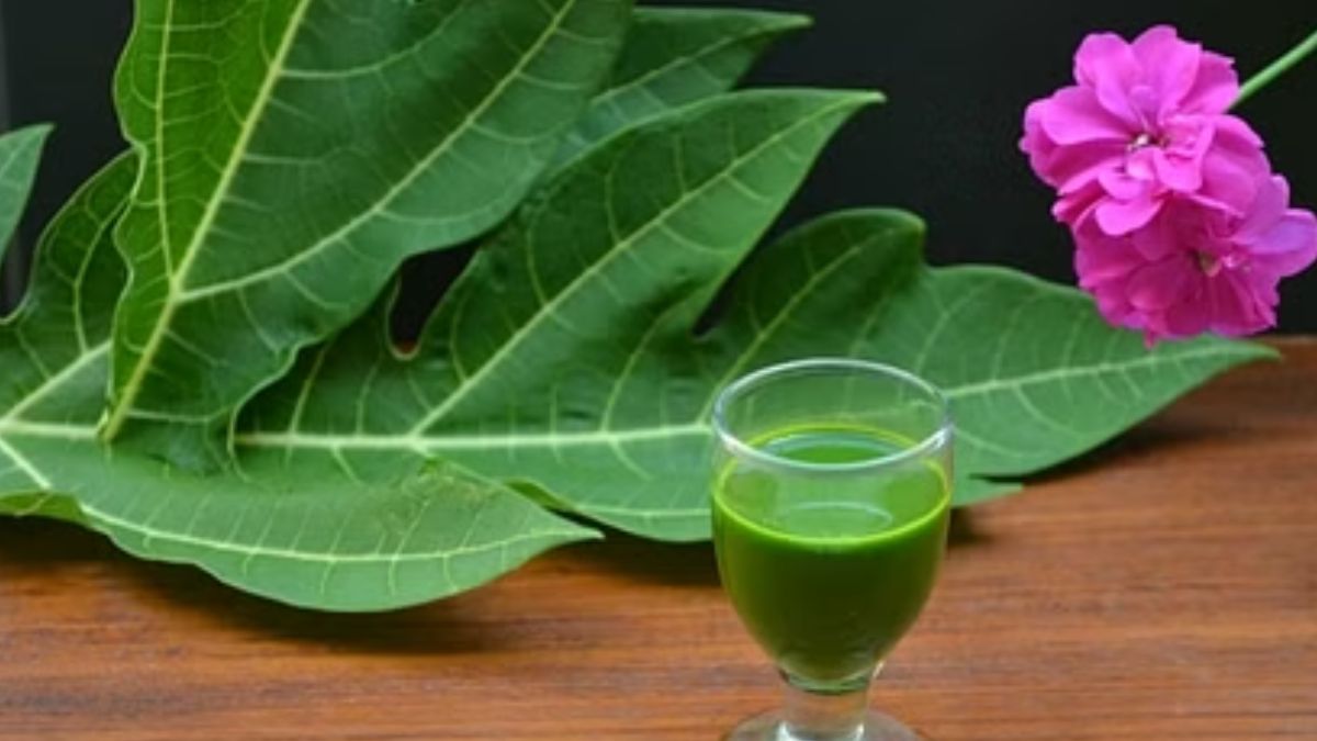 Papaya-Leaves-Juice