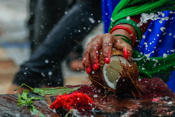 freezing-moment-breaking-coconut-600nw-747613894