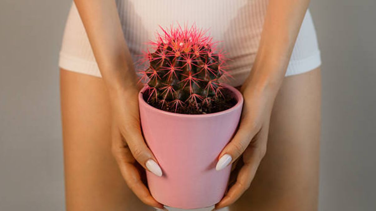 bikini hair remover 2