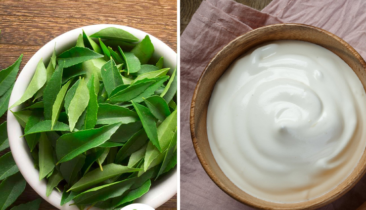 curry-leaves-curd-1598957659-lb