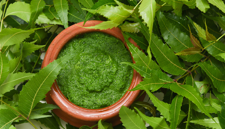 neem-for-hair-1676889728-lb