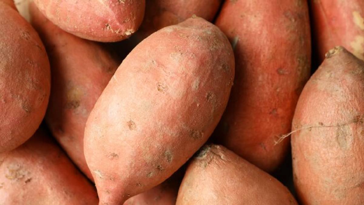 Sweet potato