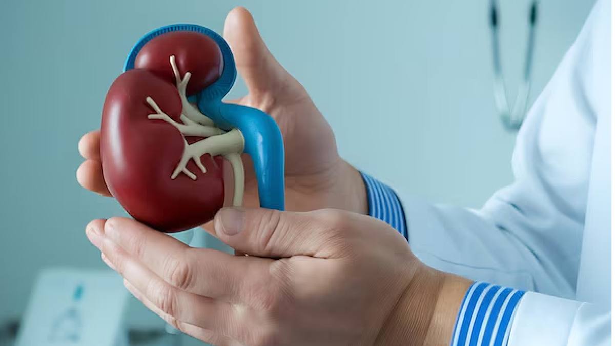 Kidney health