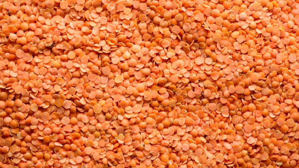 Masoor dal