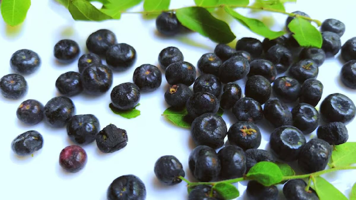 Jamun fruits
