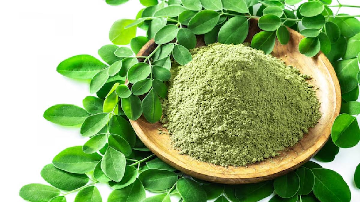 Moringa powder uses