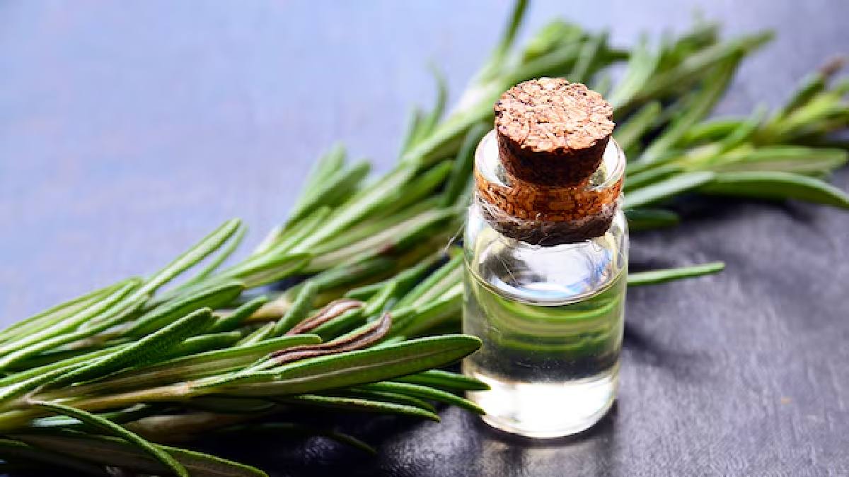 Rosemary oil