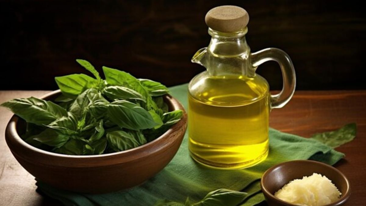 Basil oil