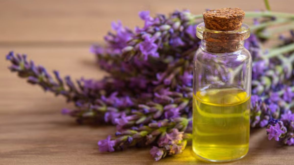 Lavender oil
